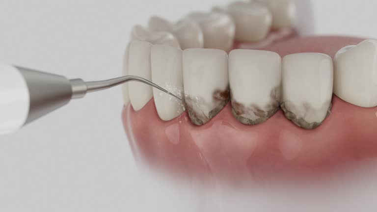 Reliable Dental contractor in South Vacherie, LA by Dentist Open Now